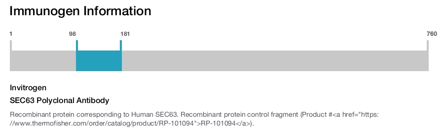 SEC63 Polyclonal Antibody