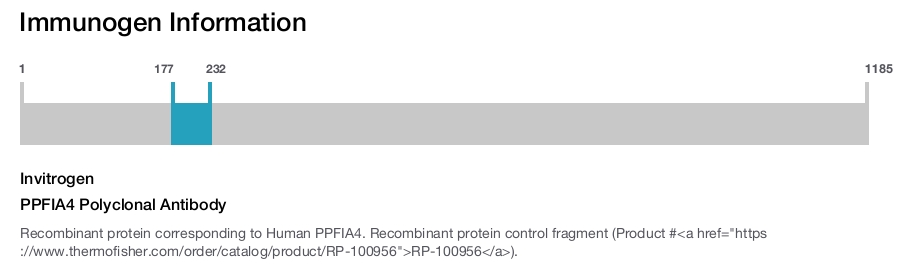 PPFIA4 Polyclonal Antibody