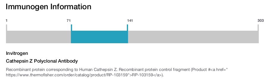 Cathepsin Z Polyclonal Antibody