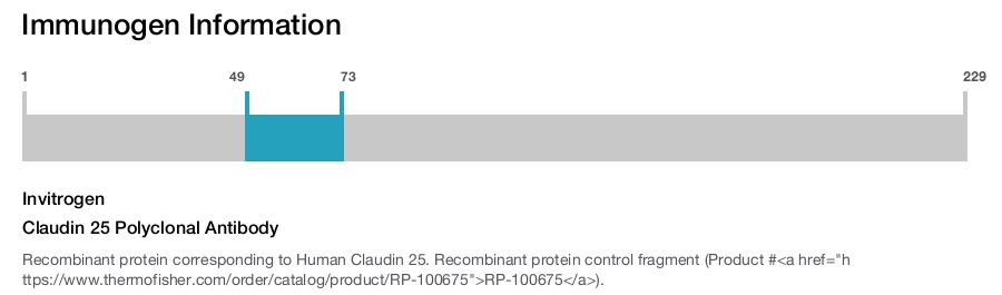 Claudin 25 Polyclonal Antibody