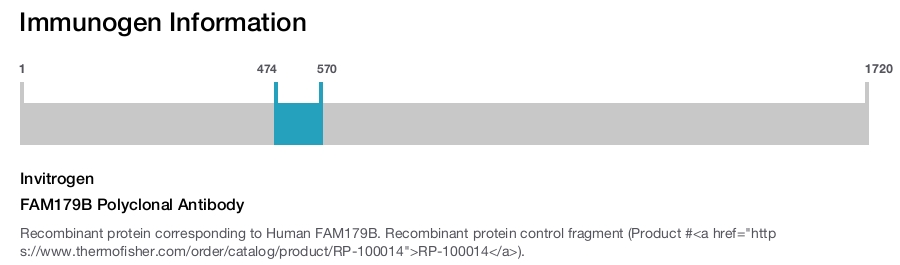 FAM179B Polyclonal Antibody