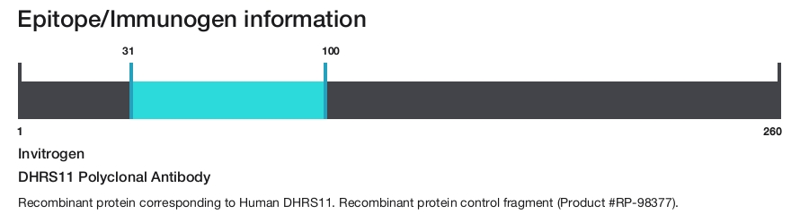 DHRS11 Polyclonal Antibody
