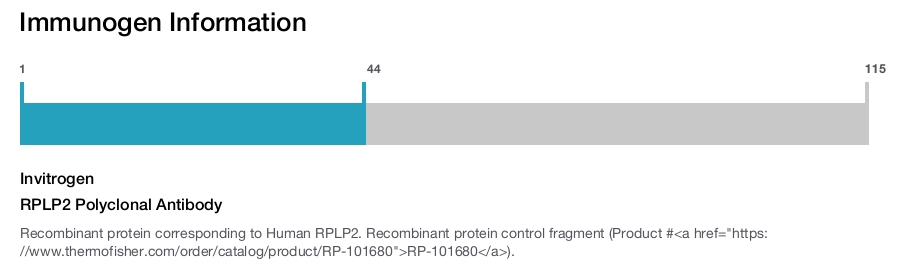 RPLP2 Polyclonal Antibody