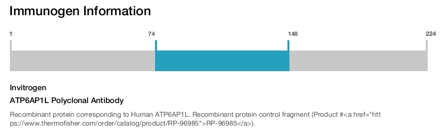 ATP6AP1L Polyclonal Antibody