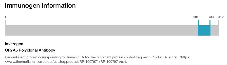 OR7A5 Polyclonal Antibody