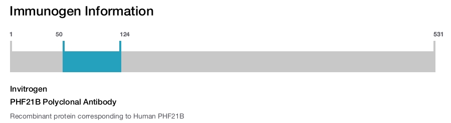 PHF21B Polyclonal Antibody