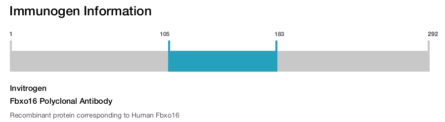 Fbxo16 Polyclonal Antibody