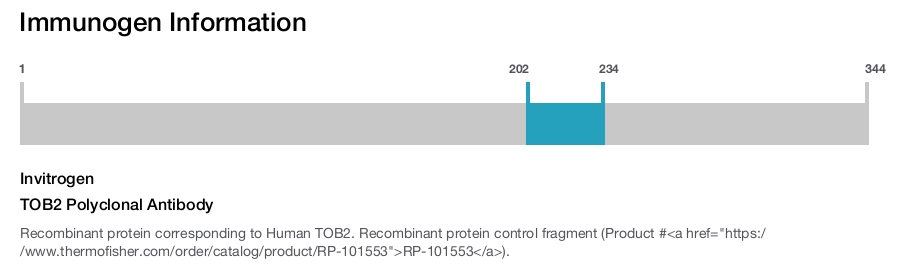 TOB2 Polyclonal Antibody