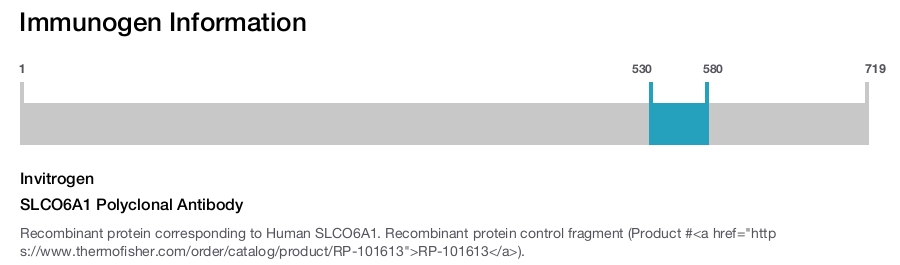 SLCO6A1 Polyclonal Antibody