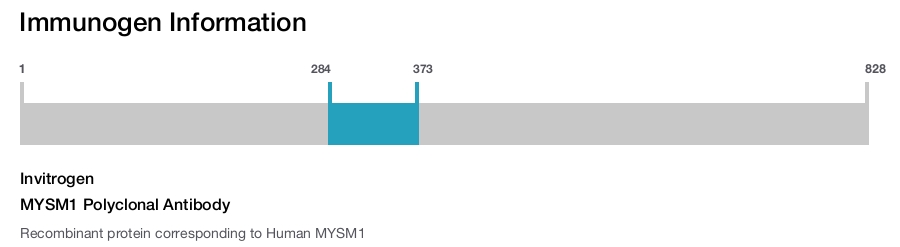 MYSM1 Polyclonal Antibody