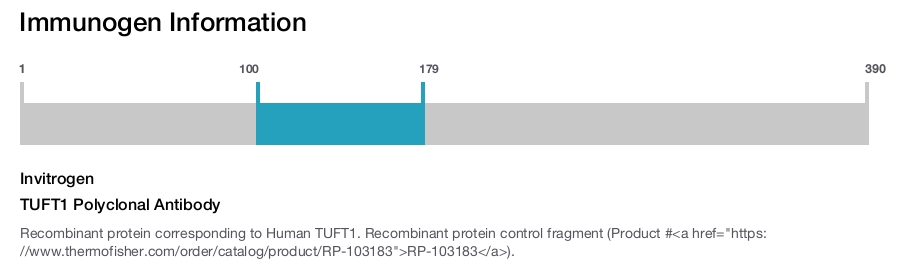 TUFT1 Polyclonal Antibody