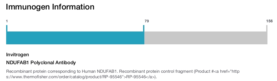 NDUFAB1 Polyclonal Antibody