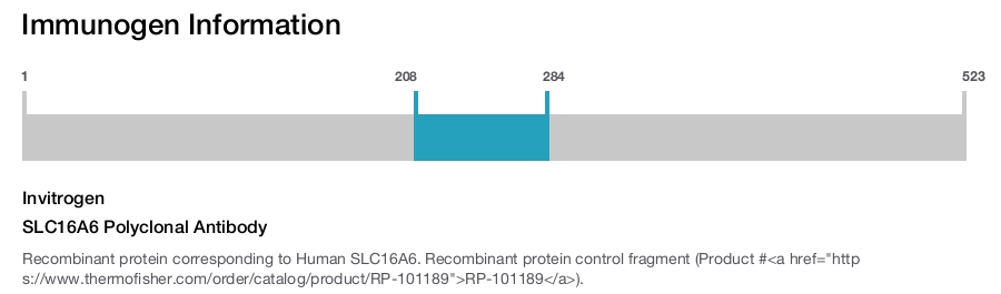 SLC16A6 Polyclonal Antibody
