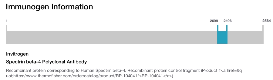 Spectrin beta-4 Polyclonal Antibody