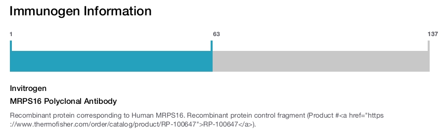 MRPS16 Polyclonal Antibody