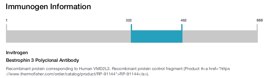 Bestrophin 3 Polyclonal Antibody