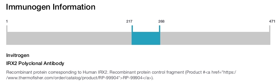 IRX2 Polyclonal Antibody
