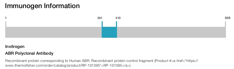 ABR Polyclonal Antibody