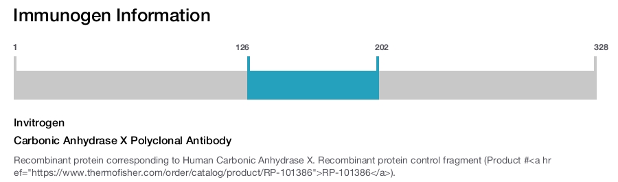 Carbonic Anhydrase X Polyclonal Antibody