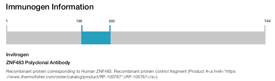 ZNF483 Polyclonal Antibody
