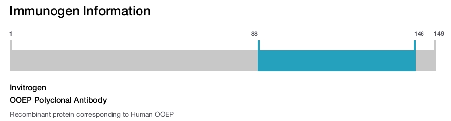 OOEP Polyclonal Antibody