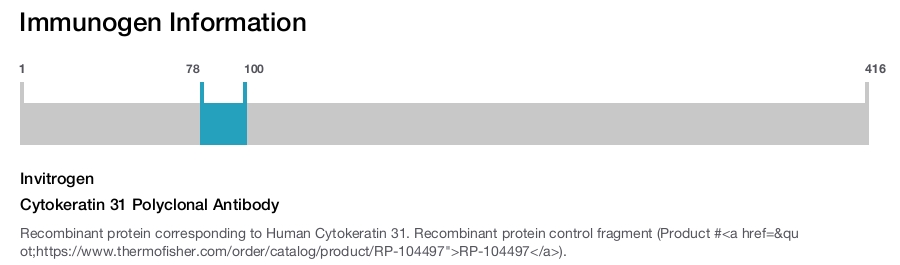 Cytokeratin 31 Polyclonal Antibody