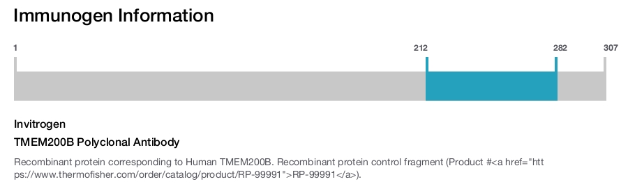 TMEM200B Polyclonal Antibody