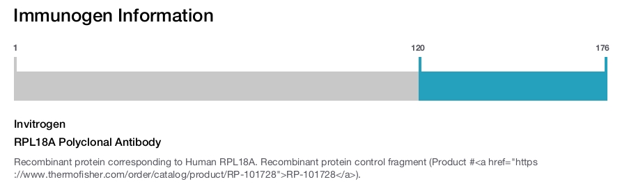 RPL18A Polyclonal Antibody