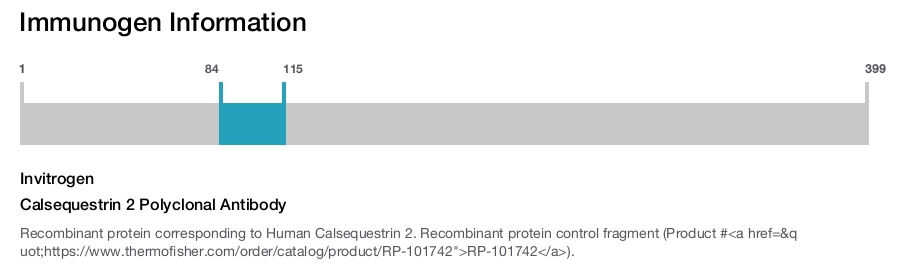 Calsequestrin 2 Polyclonal Antibody