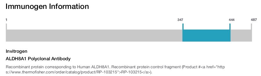 ALDH8A1 Polyclonal Antibody