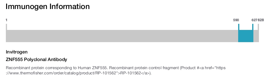 ZNF555 Polyclonal Antibody