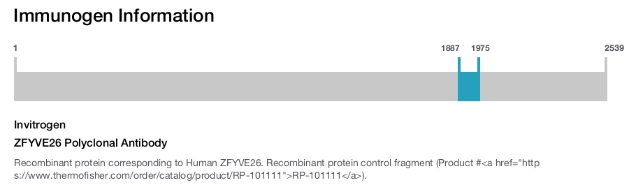 ZFYVE26 Polyclonal Antibody