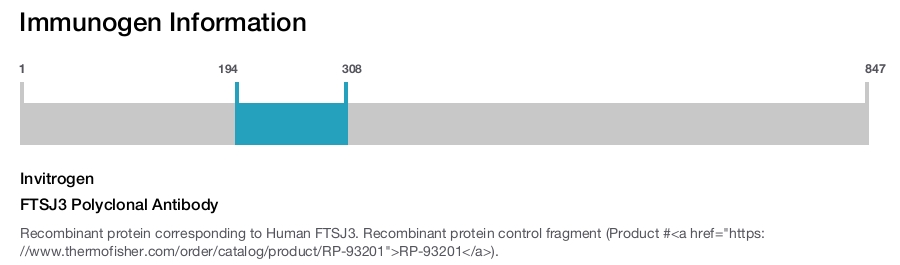 FTSJ3 Polyclonal Antibody
