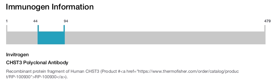 CHST3 Polyclonal Antibody