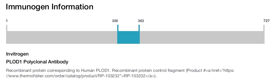 PLOD1 Polyclonal Antibody