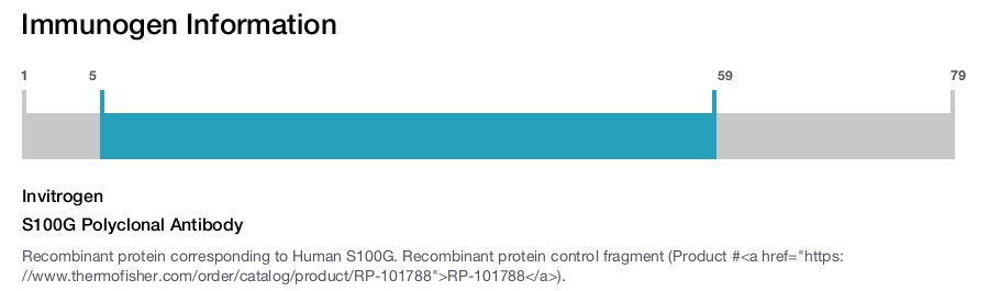 S100G Polyclonal Antibody