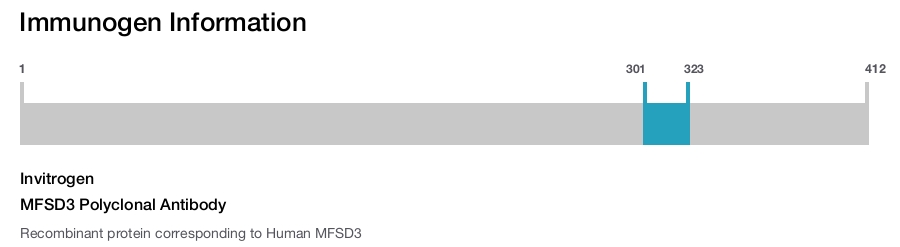 MFSD3 Polyclonal Antibody