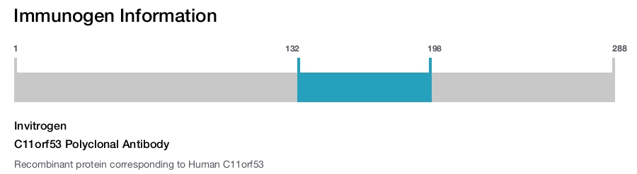 C11orf53 Polyclonal Antibody