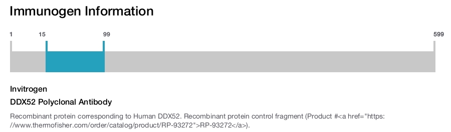 DDX52 Polyclonal Antibody