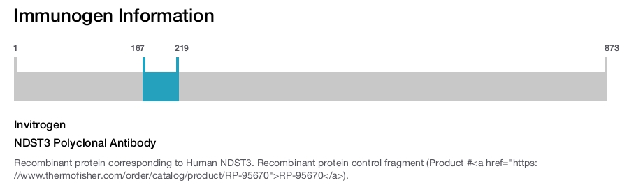 NDST3 Polyclonal Antibody