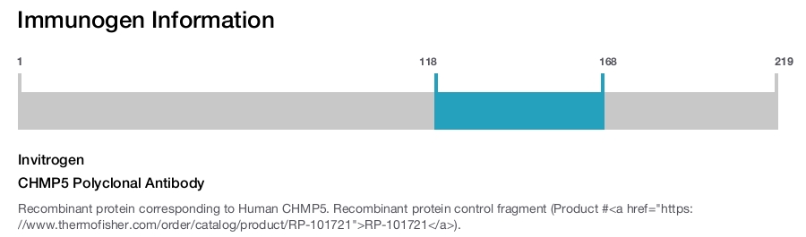 CHMP5 Polyclonal Antibody
