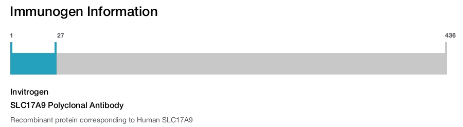 SLC17A9 Polyclonal Antibody