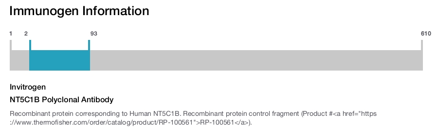 NT5C1B Polyclonal Antibody
