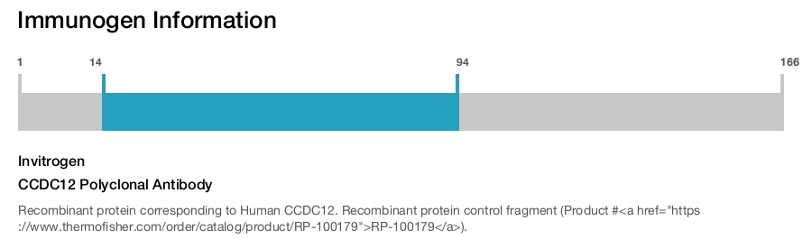 CCDC12 Polyclonal Antibody
