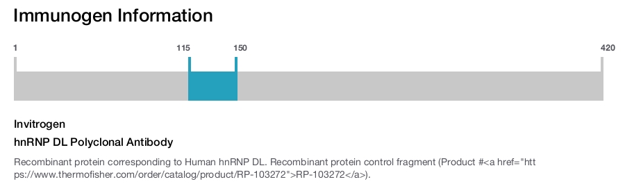 hnRNP DL Polyclonal Antibody