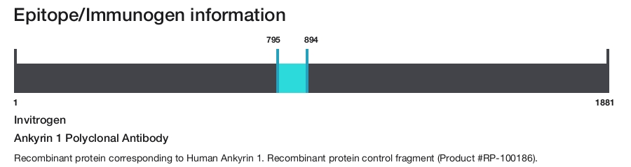 Ankyrin 1 Polyclonal Antibody