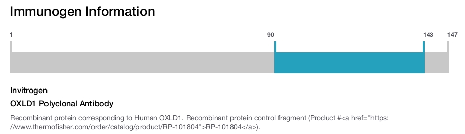 OXLD1 Polyclonal Antibody
