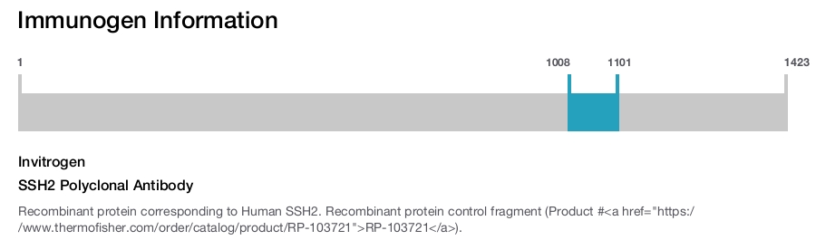 SSH2 Polyclonal Antibody