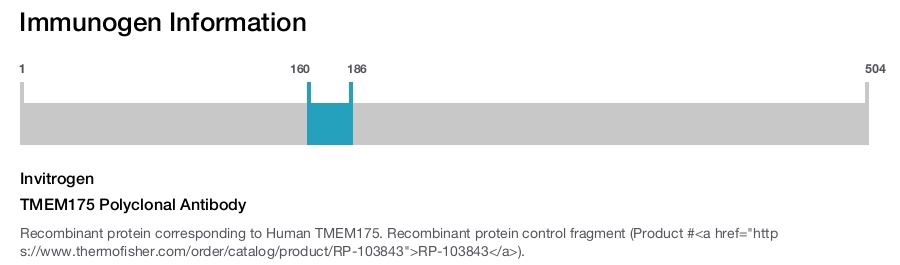 TMEM175 Polyclonal Antibody