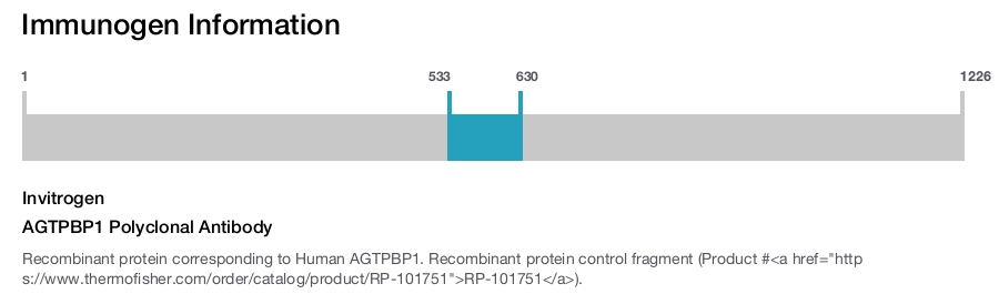 AGTPBP1 Polyclonal Antibody